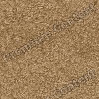 Photo High Resolution Seamless Wallpaper Texture 0009